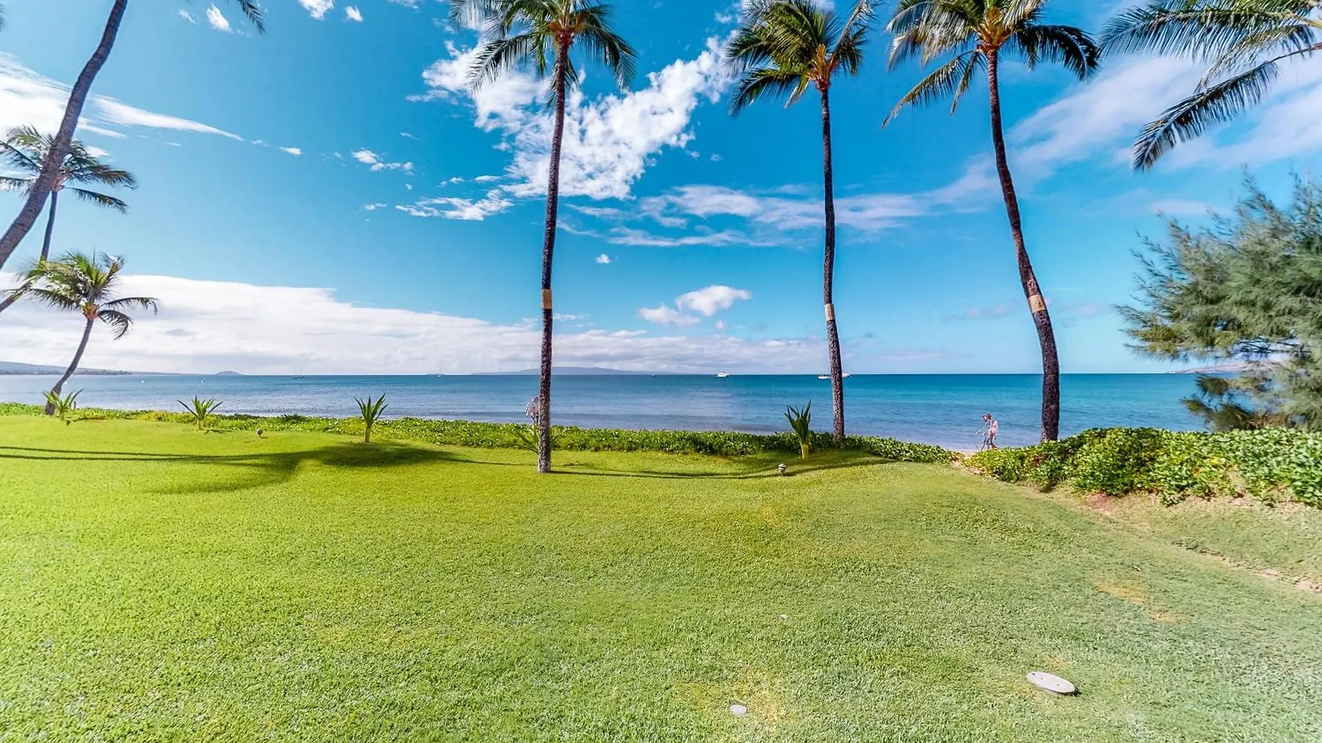 Sugar Διαμέρισμα Kihei