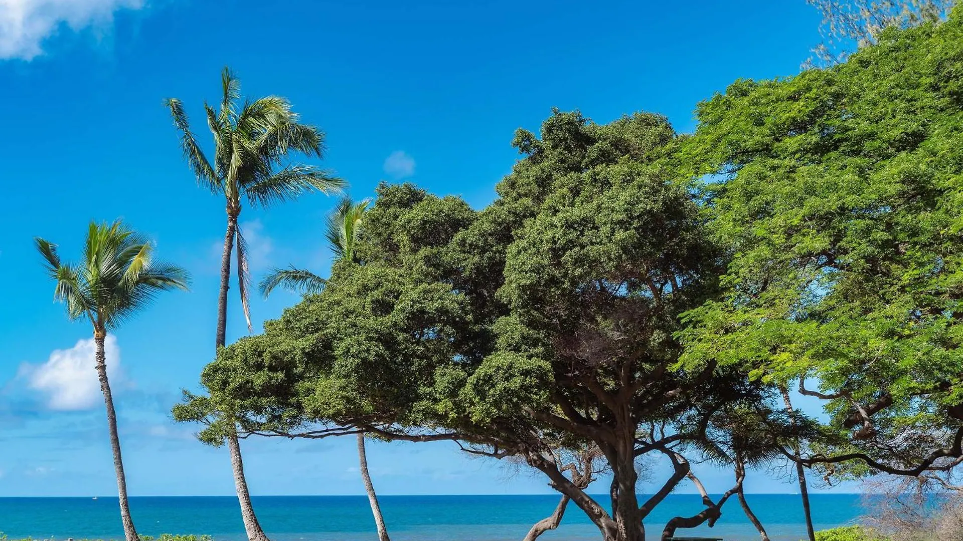 Haleakala Shores A-302 - Stunning Ocean View Holiday home