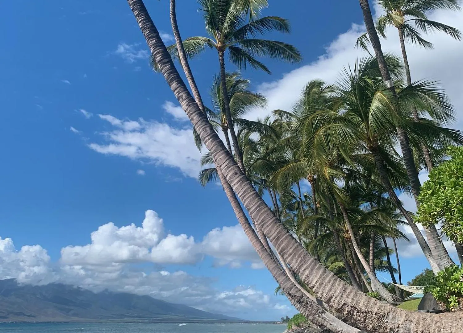 Go Camp Maui-exploring Maui In A Campervan Apartment *
