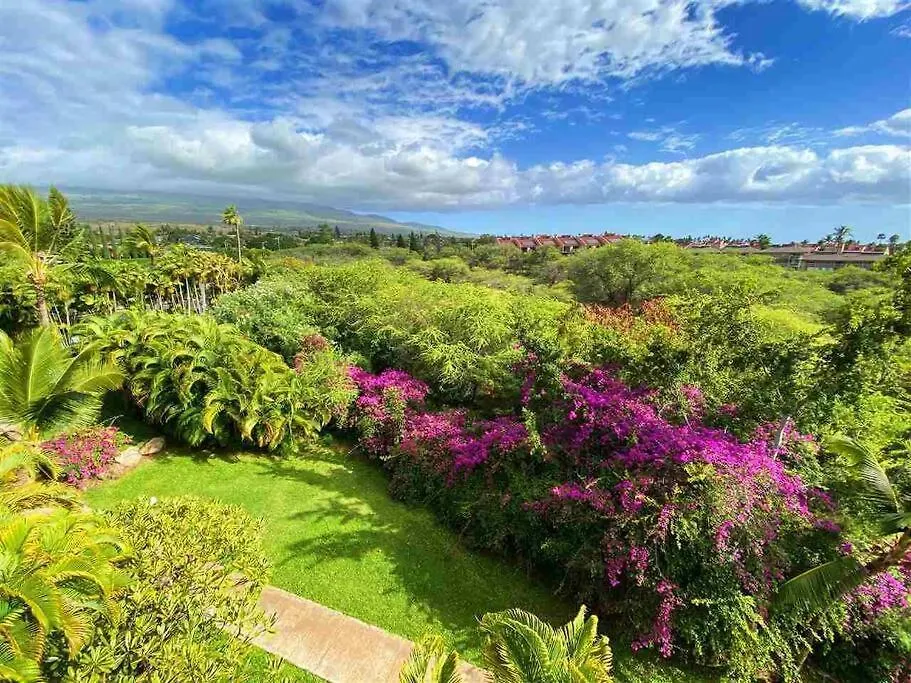Ocean View Penthouse: Steps To Beach, Fast Wi-fi Apartment Wailea (Maui)