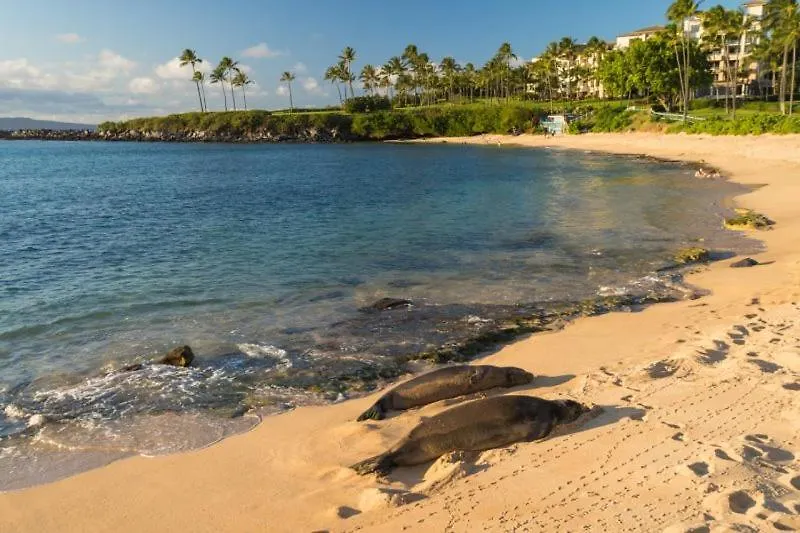 622 Kapalua Ridge Apartment