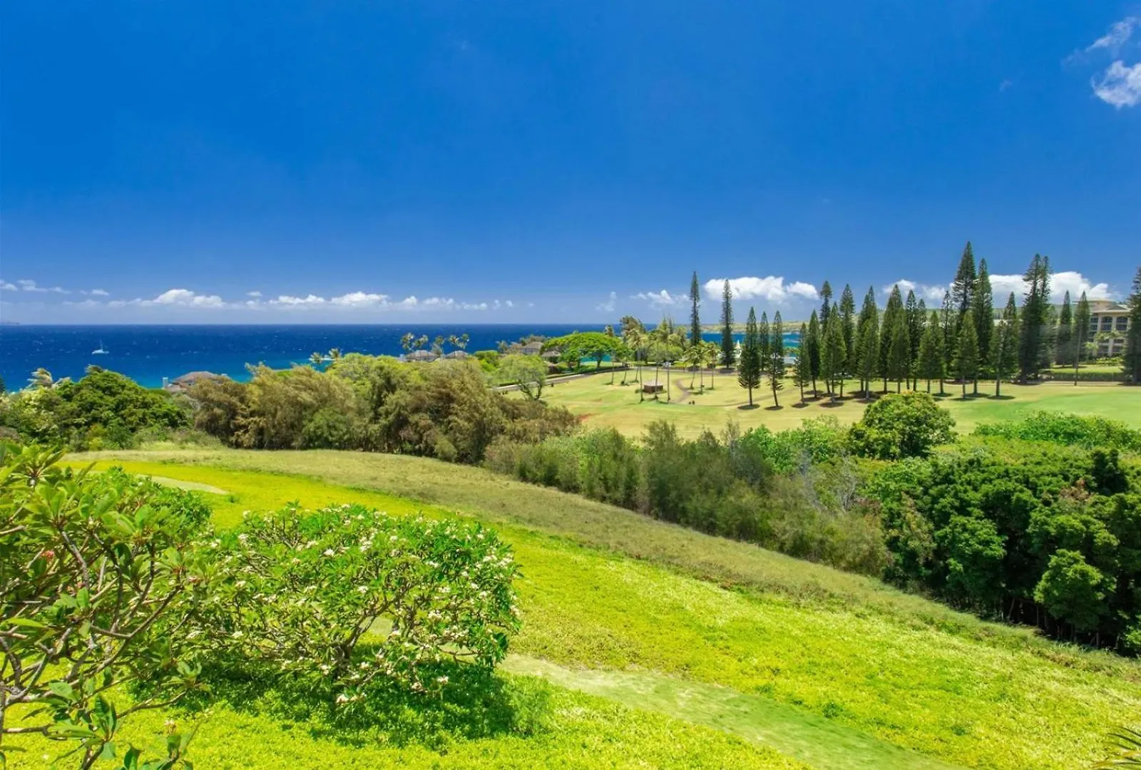 622 Kapalua Ridge Apartment Kahana