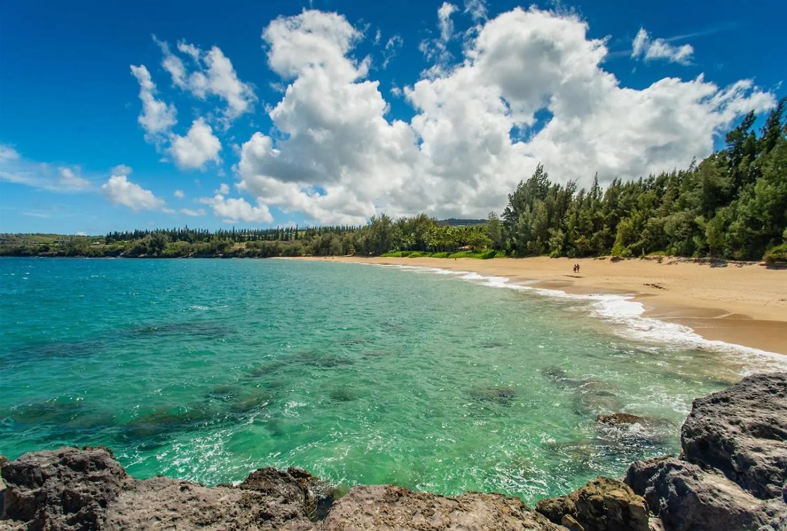 2412 Kapalua Ridge Apartment
