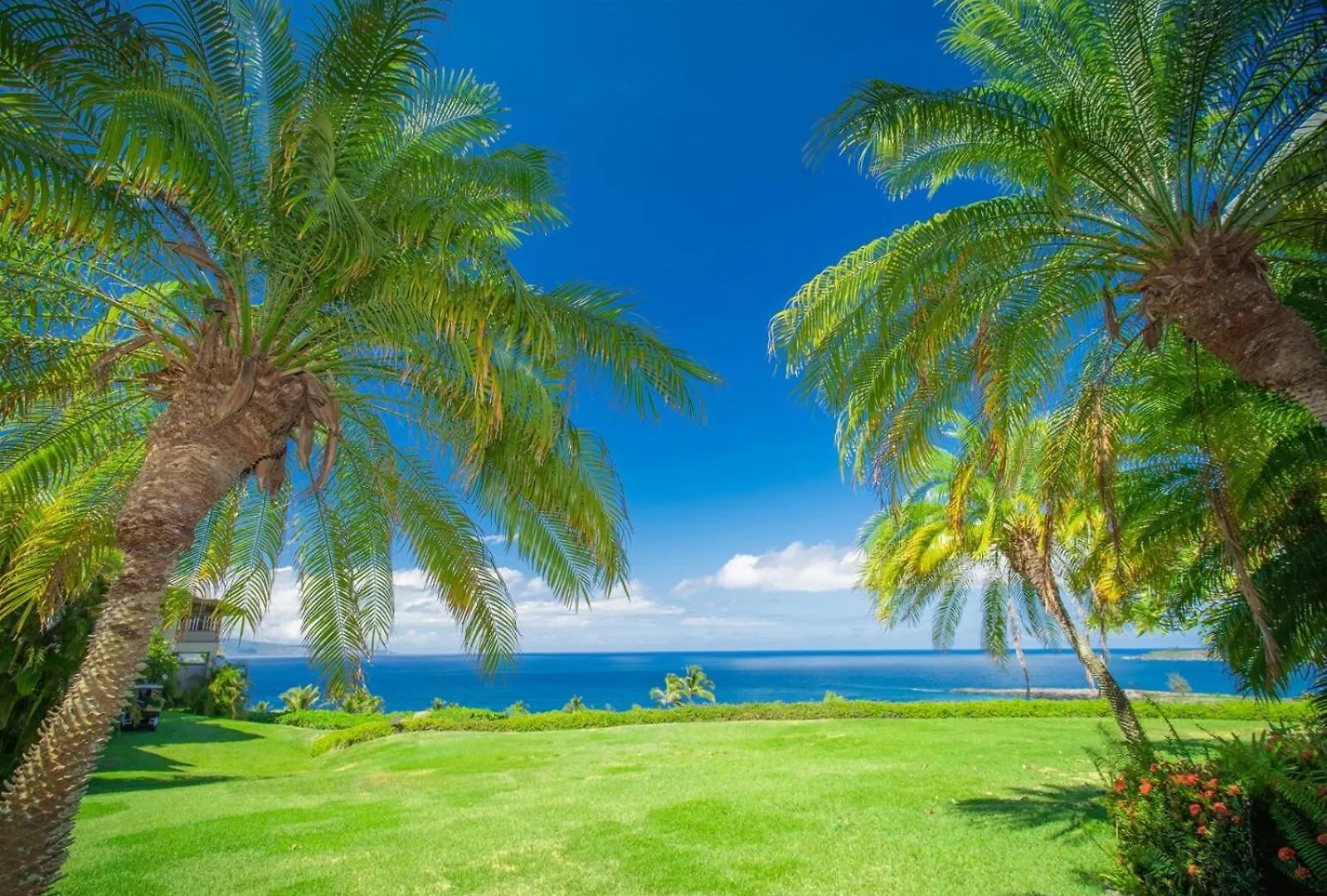 2412 Kapalua Ridge *