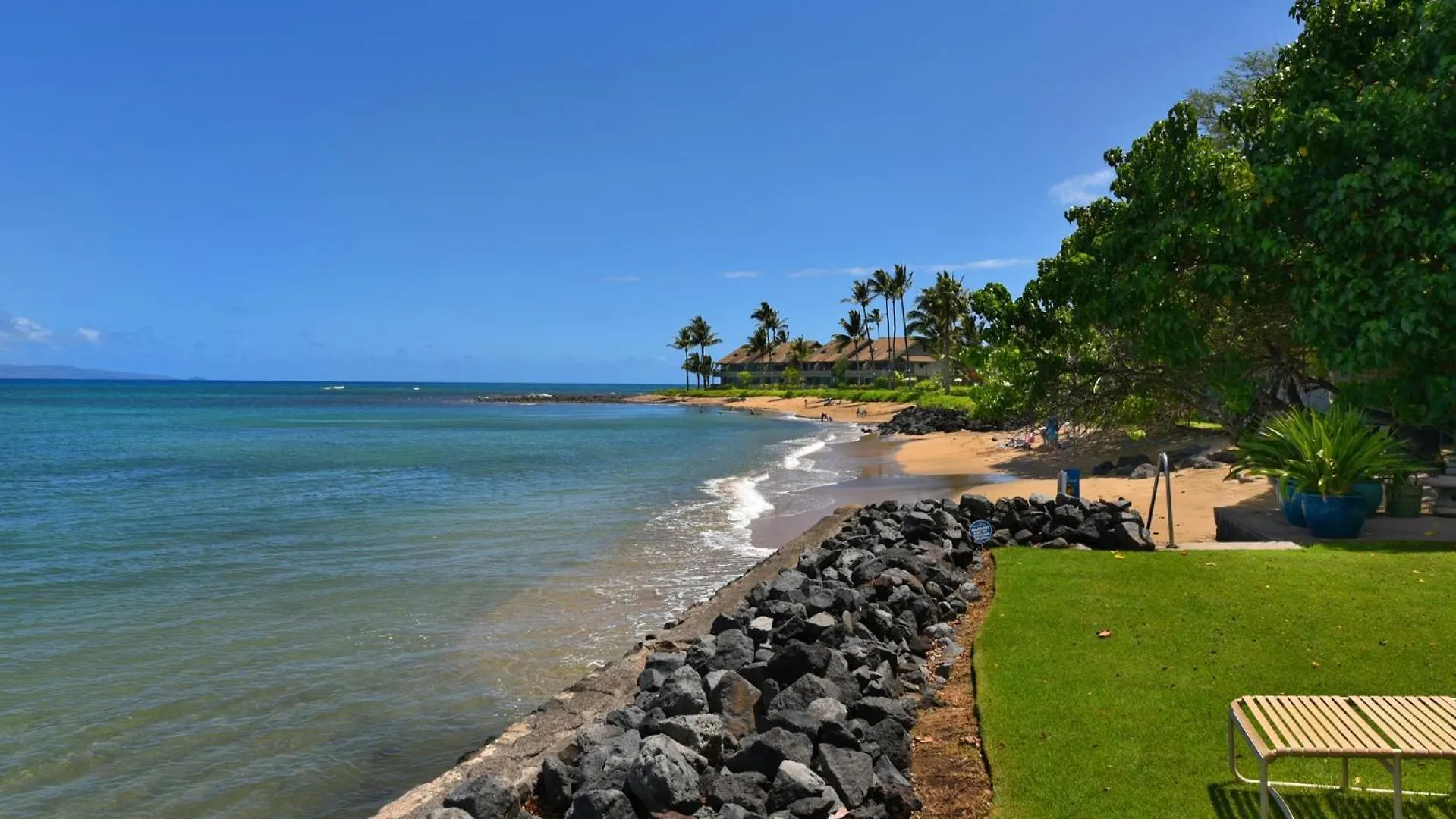 Reef #216 * Kahana
