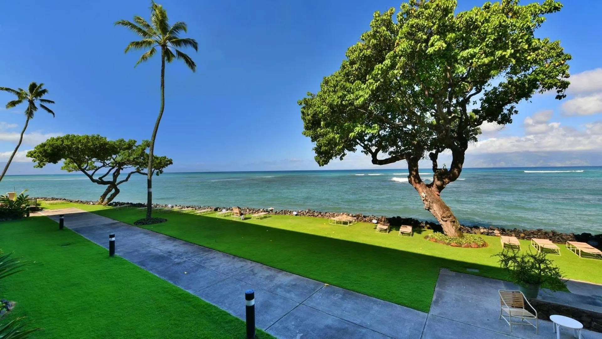Reef #216 Apartment