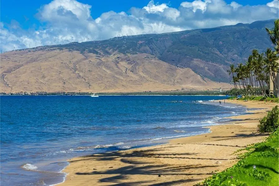 Maalaea Surf, #g-1 *