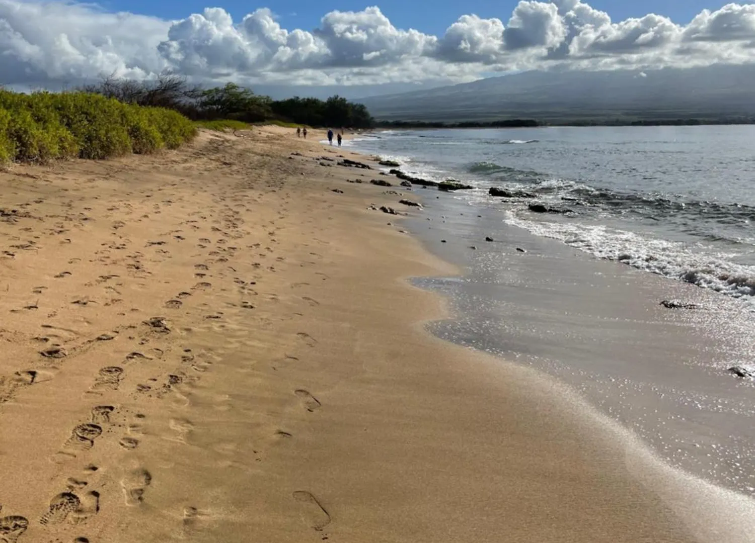 Kanai A Nalu * Wailuku