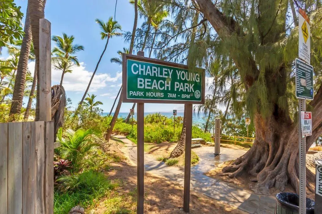 Maui Vista 1312- Front Row Eclectic Updated Oceanview S Apartment Kihei