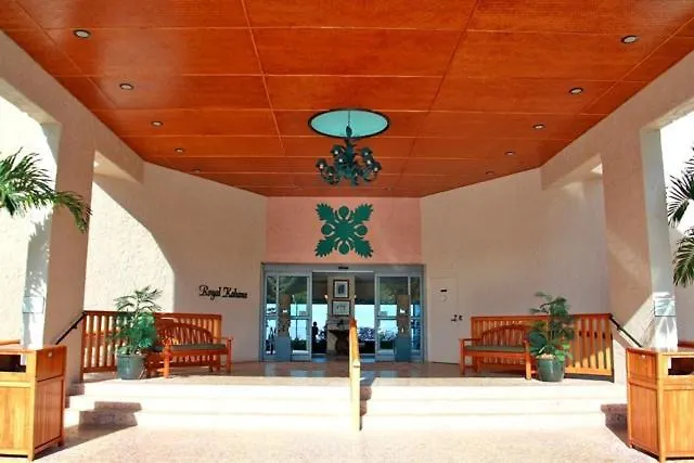 Royal #911 Kahana
