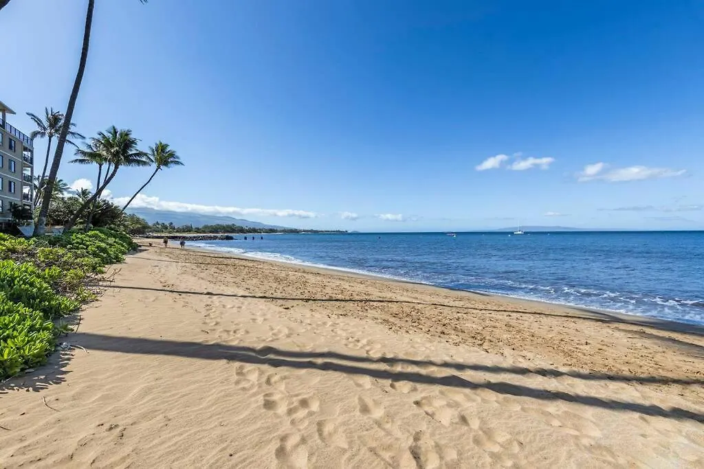 Apartment 501- Remodeled 2 Bedroom Oceanfront Gem On 6 Mile Kihei