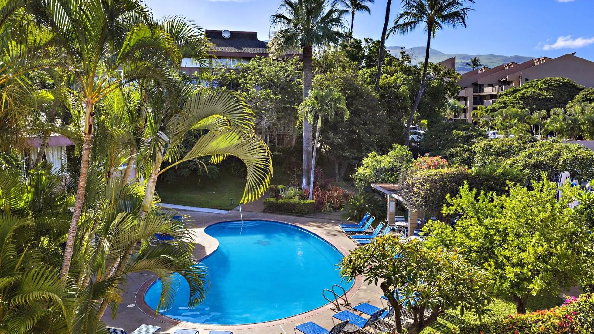 Haleakala Shores A305 Wailea (Maui)