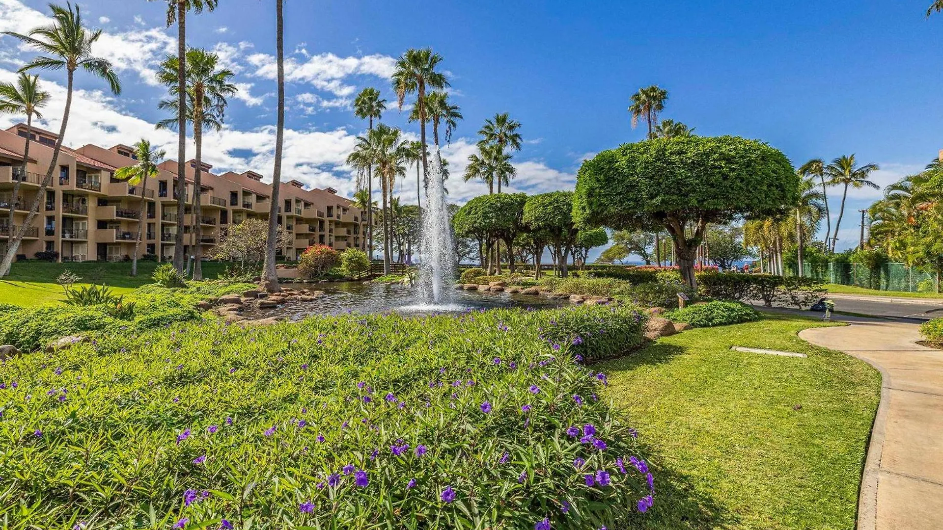 Live Da Hi Life--great And Great Views! Apartment