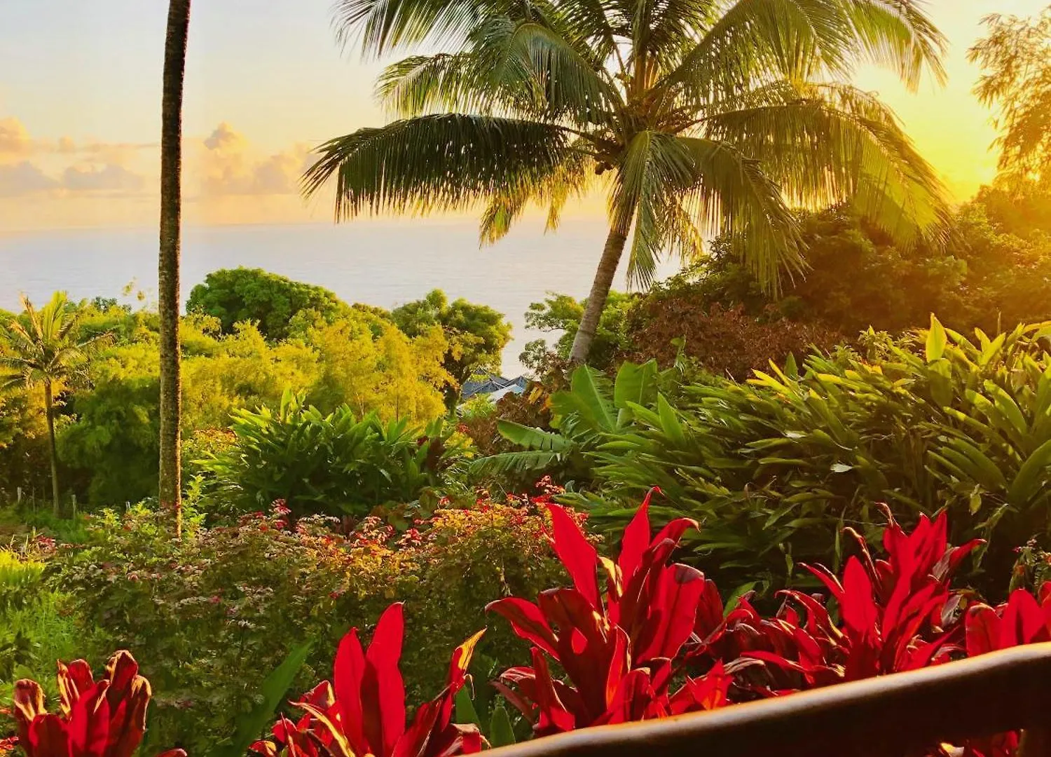 Maui Eco Retreat