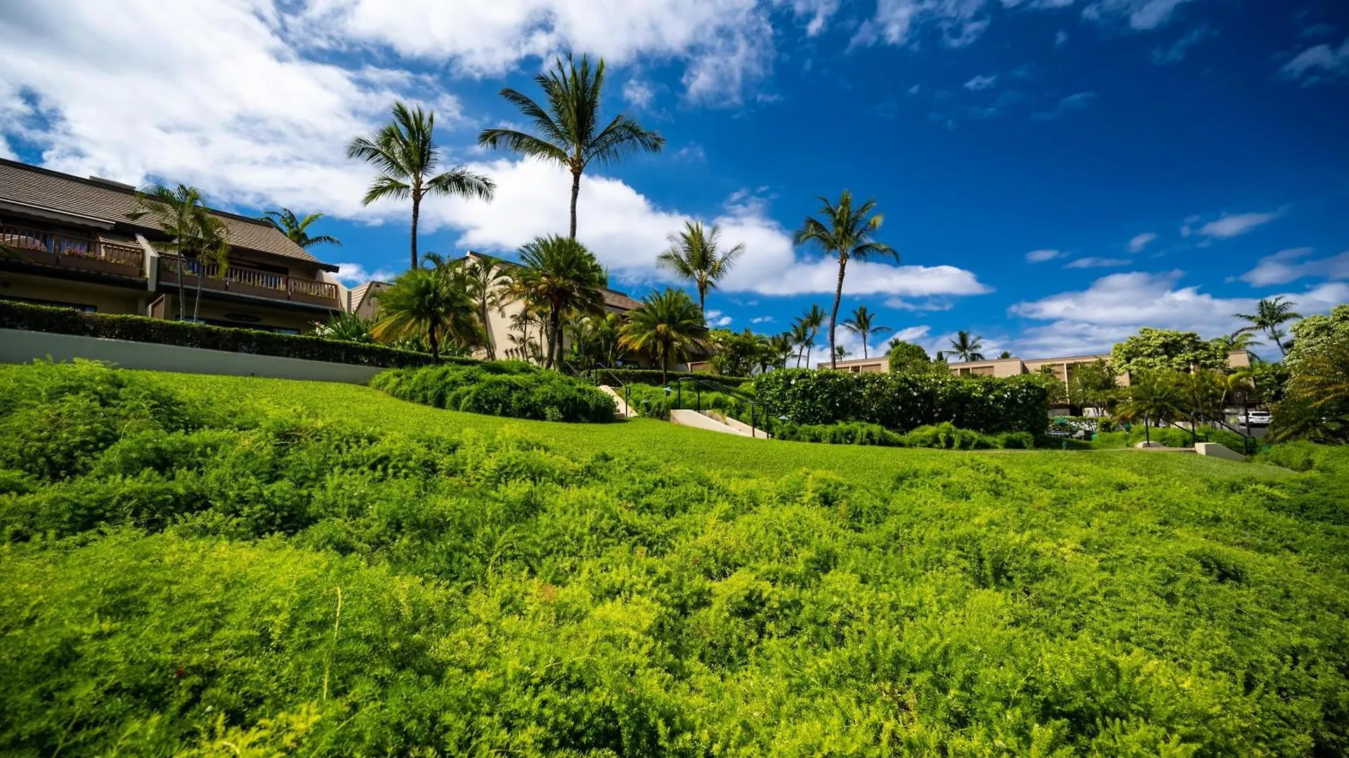 Holiday home Maui Kamaole I217