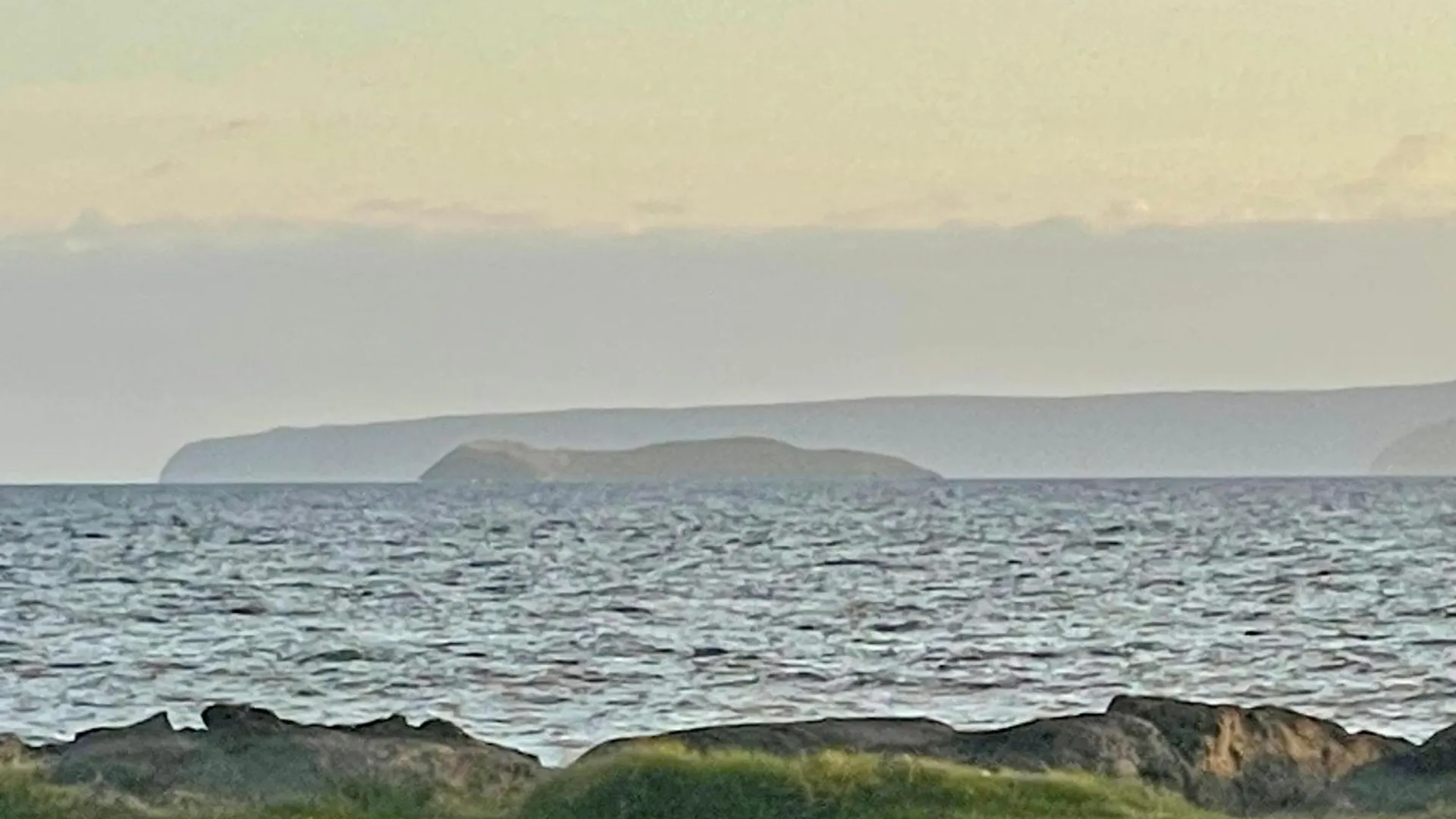 Bay Vista *