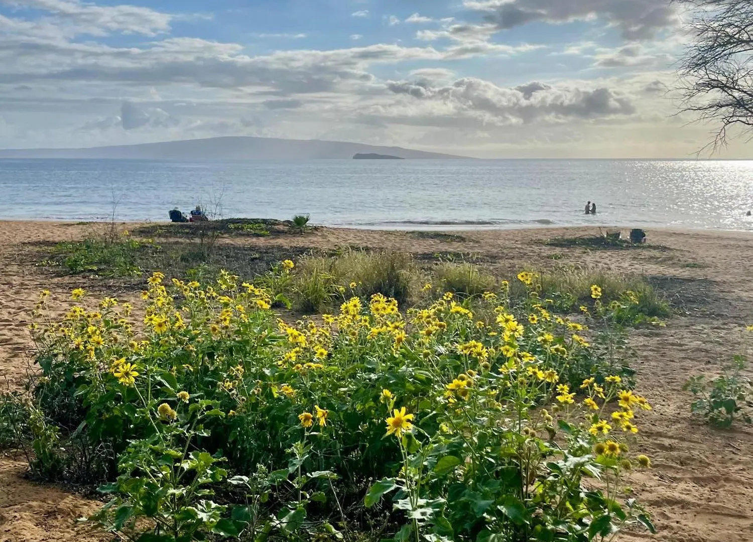 Bay Vista Holiday home Kihei
