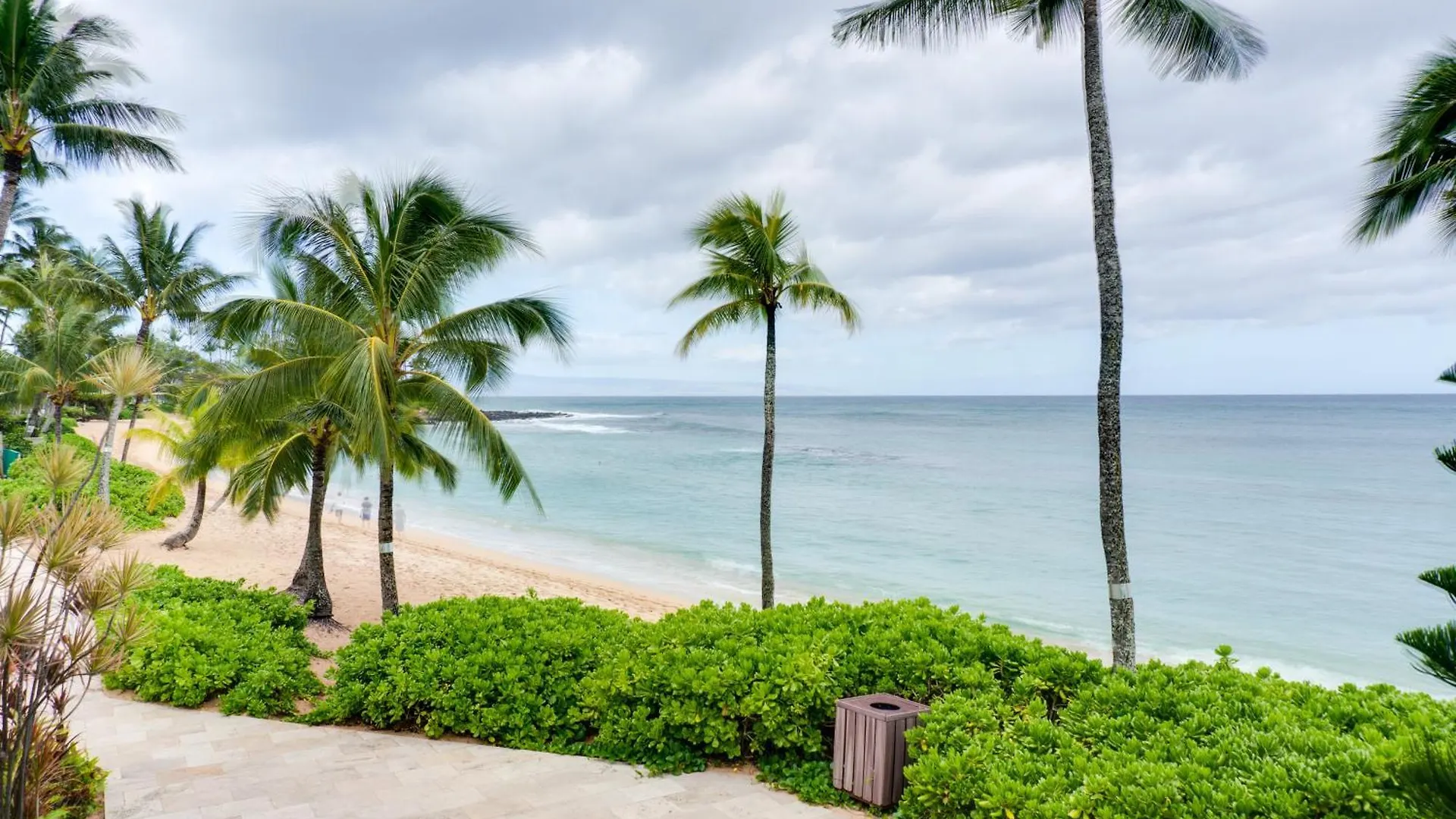 The Mauian 3*