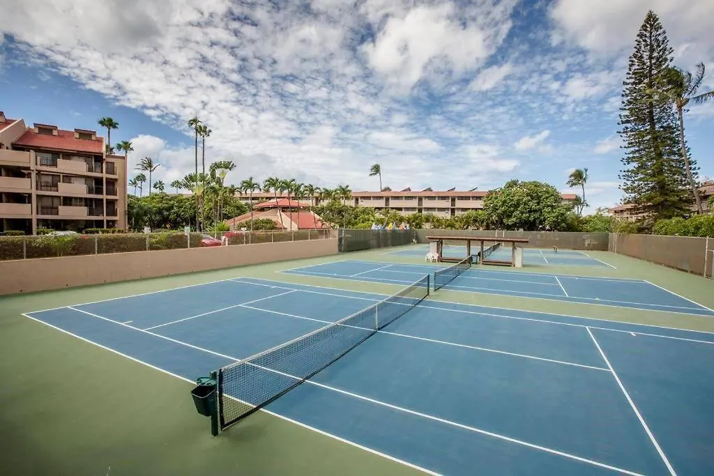 Maui Luxe & Pool Apartment