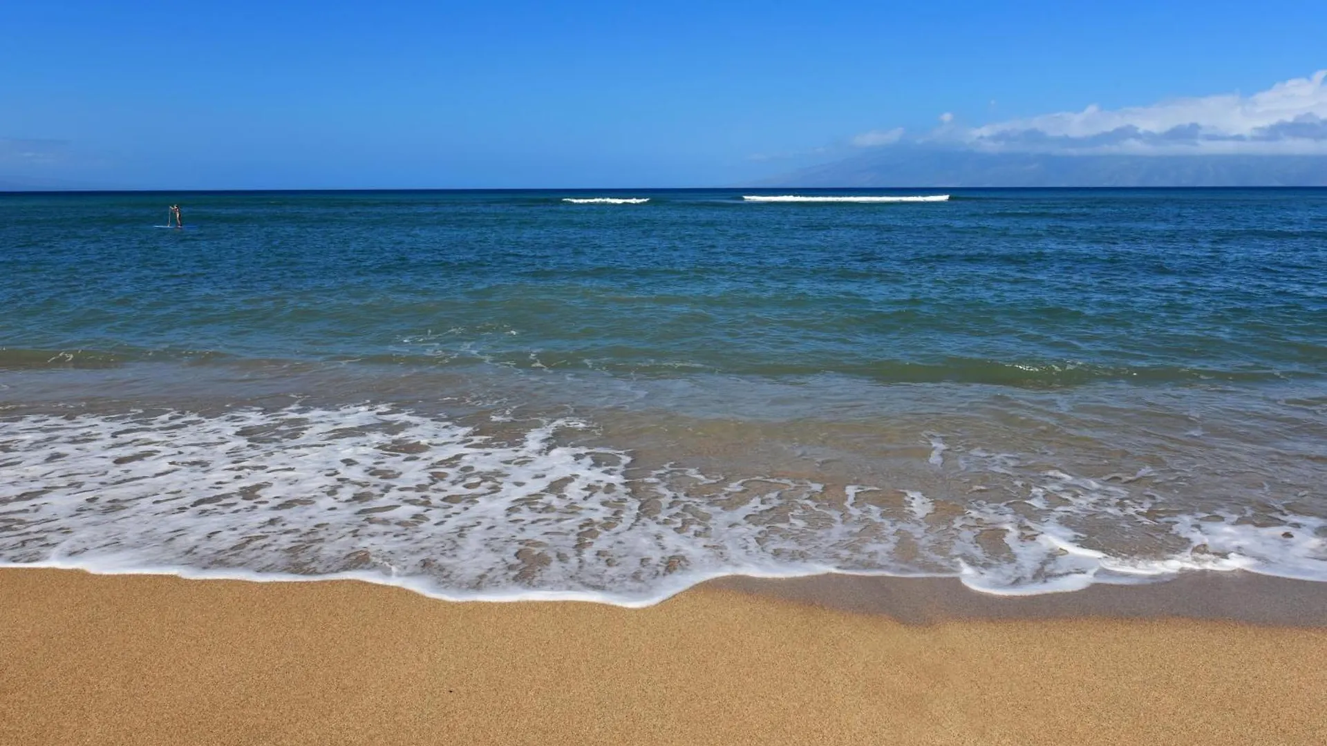 Royal 301 Kahana