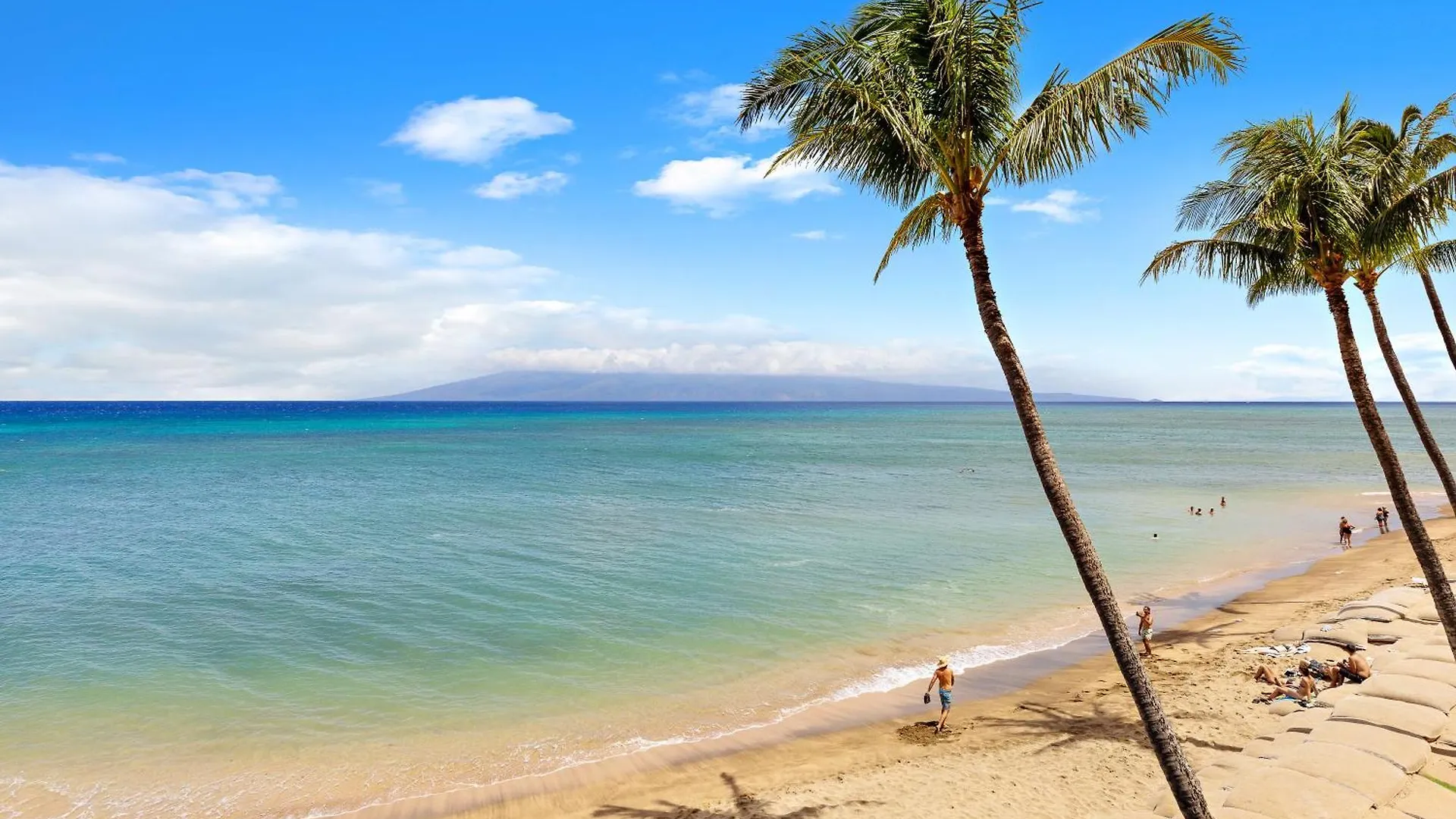 Direct Oceanfront One Bedroom Vi310 - Sullivan Holiday home *