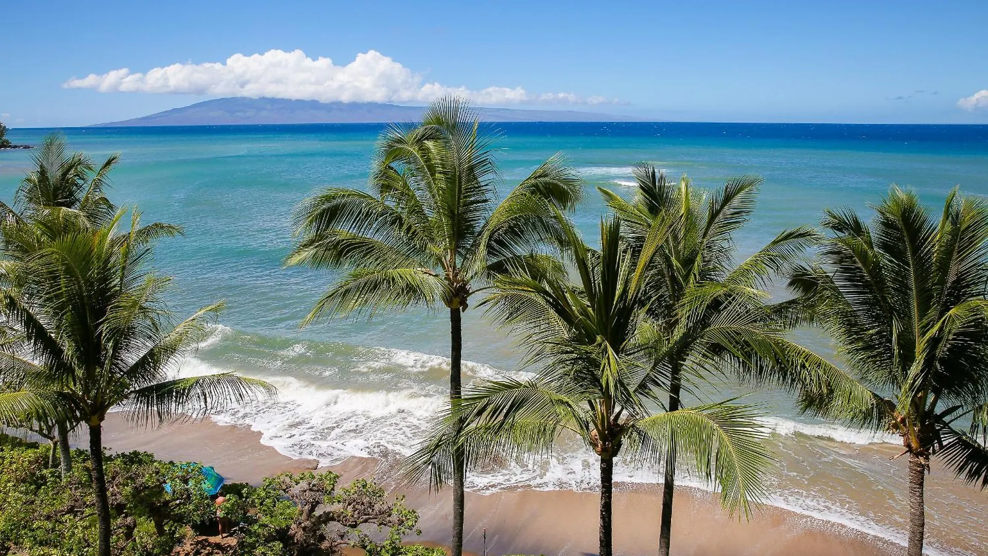 2bd Oceanfront Views - Sk344 - Sullivan Kahana