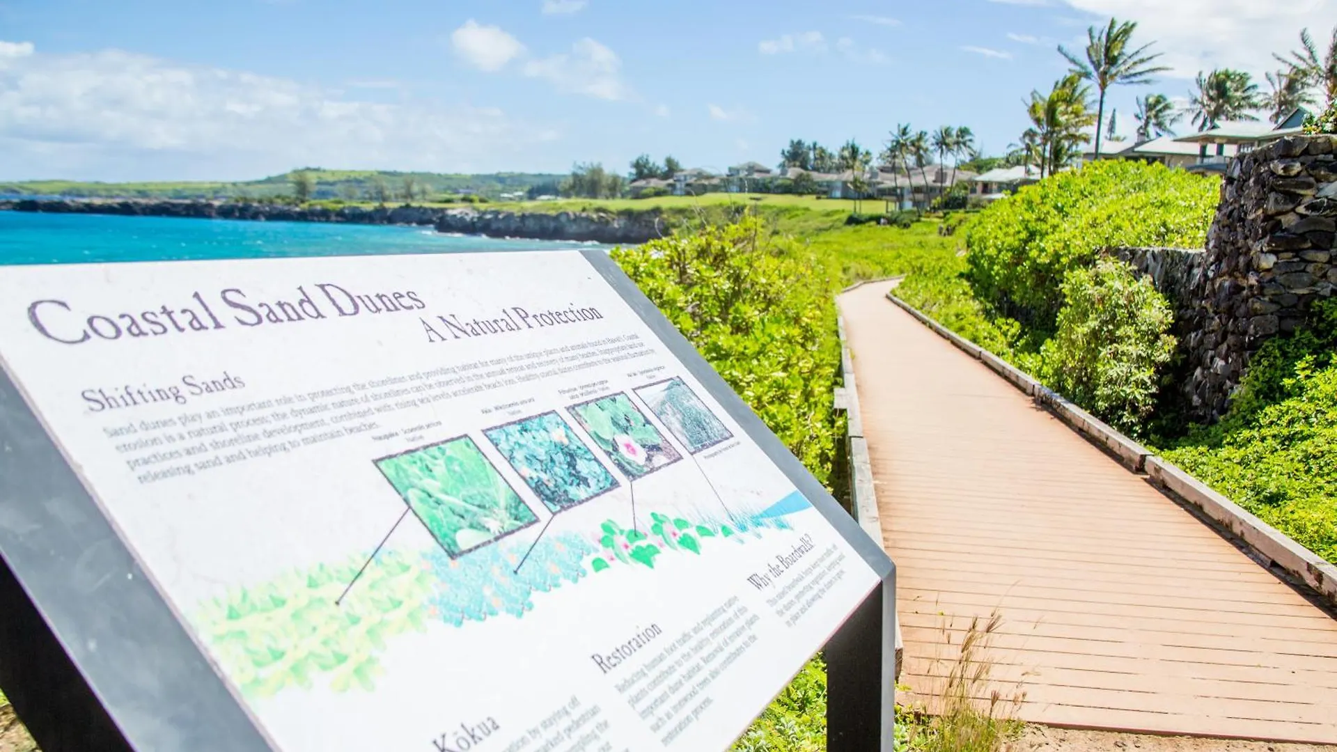 Kapalua Oasis, Ac, Ocean Views - R414 - Sullivan *