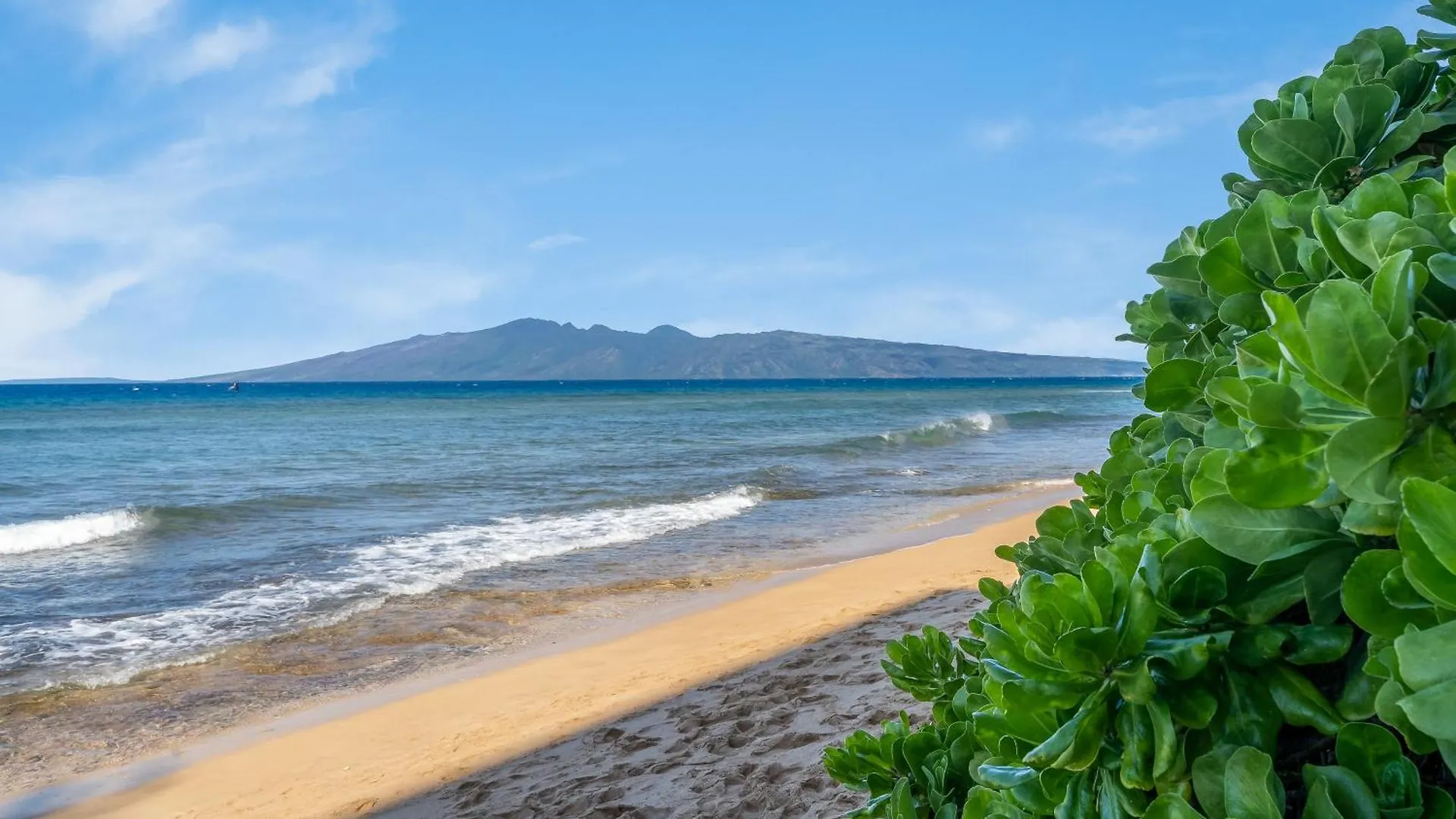 Oceanfront Views & Remodeled! - Mk306 Holiday home *