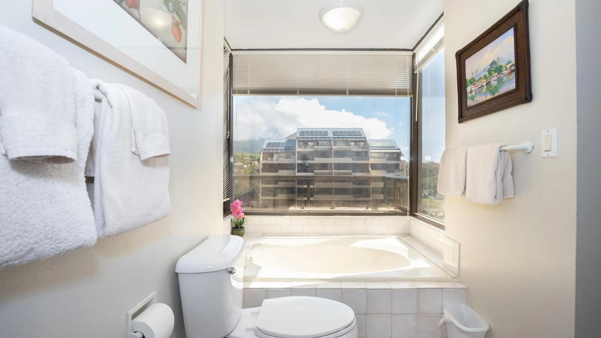 Oceanview, Corner Renovated Unit W Ac! Sk366