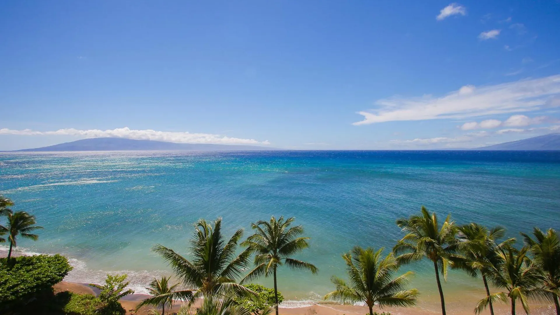 Oceanview, Corner Renovated Unit W Ac! Sk366