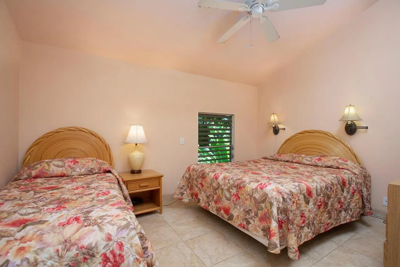 Ocean Views & Turtle Watching - Ks B3 Sullivan Holiday home Kahana