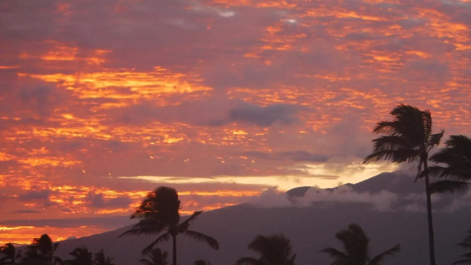Ground Floor & Ac - Kbv11g2 - Sullivan Kapalua