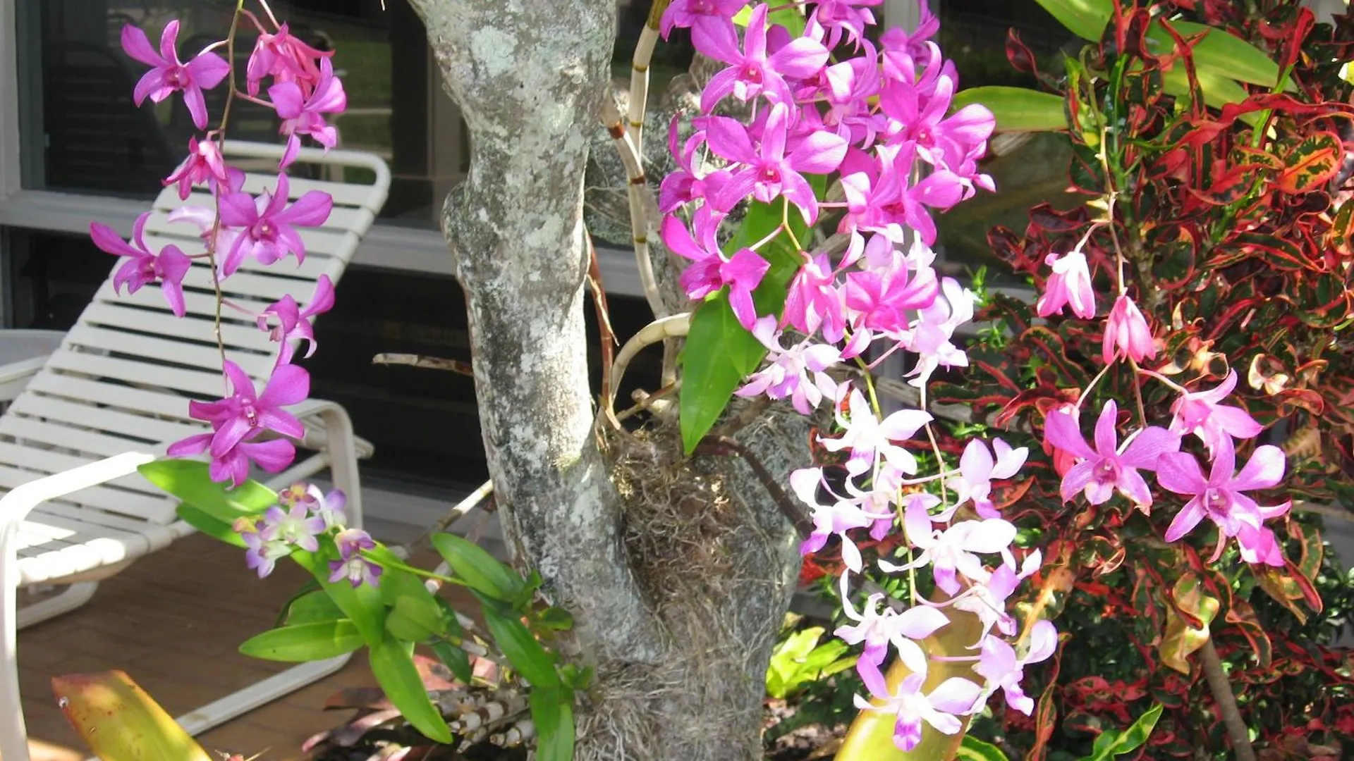 Ground Floor & Ac - Kbv11g2 - Sullivan Holiday home