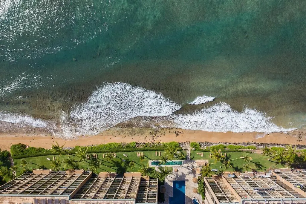 Ocean Views On Maui! Perfect For Honeymooners!! Apartment
