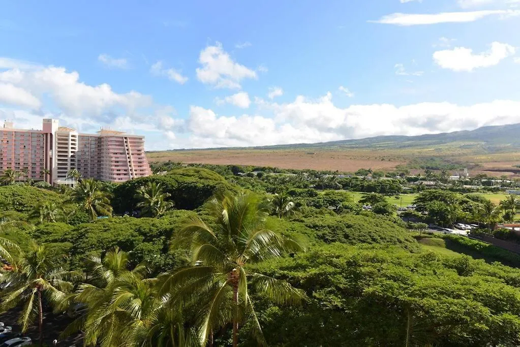 Ocean Views On Maui! Perfect For Honeymooners!! *