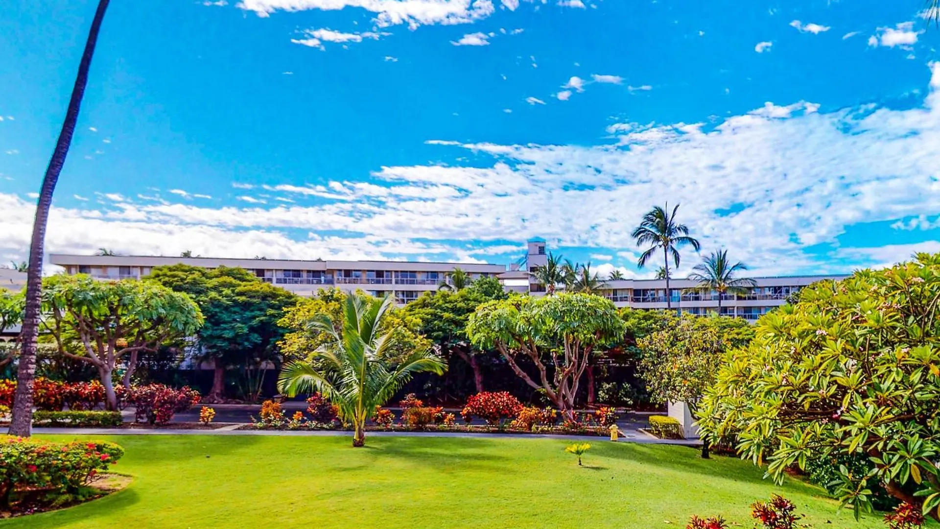 Kihei Akahi