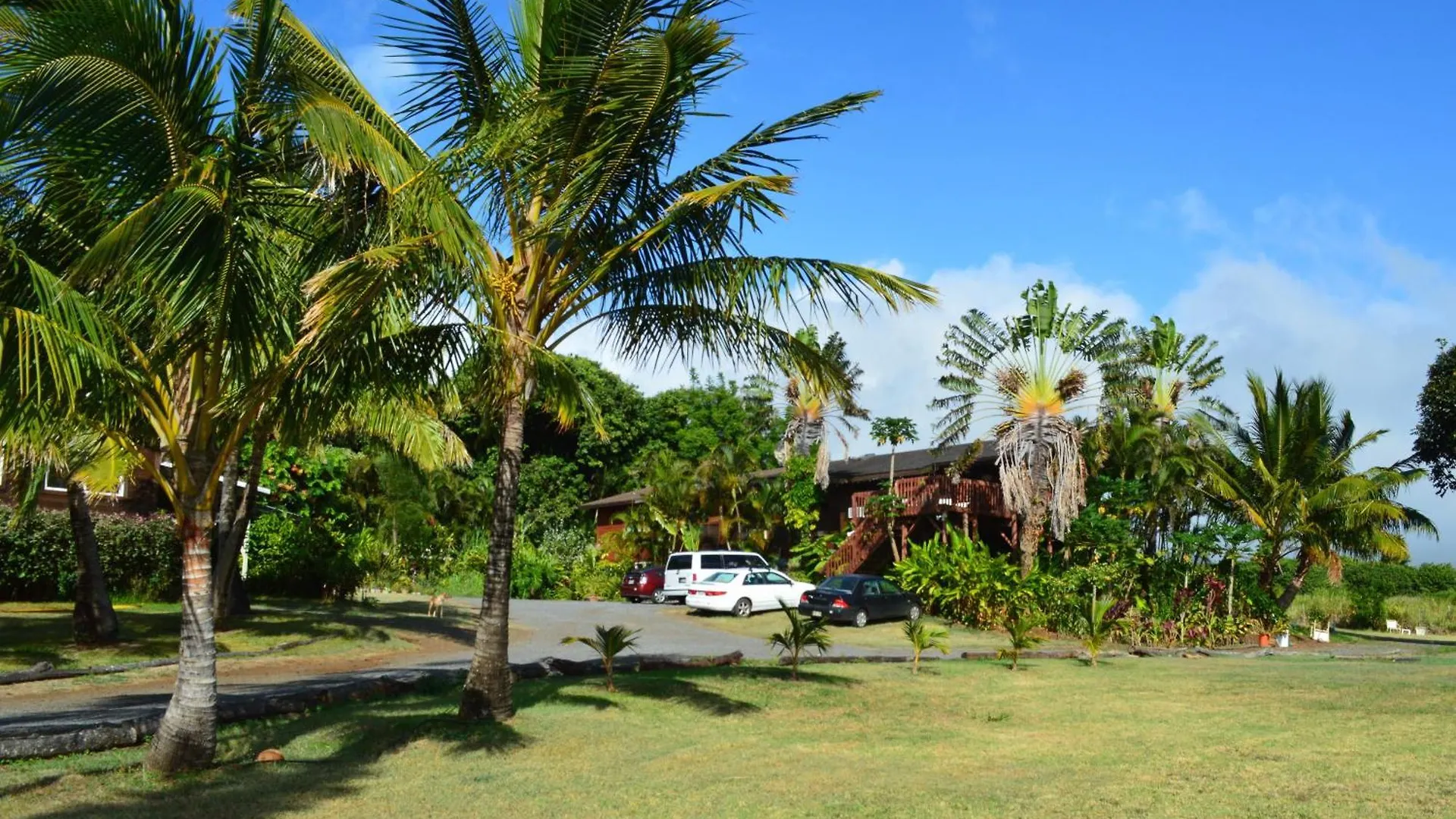 Frühstückspension God's Peace Of Maui Makawao