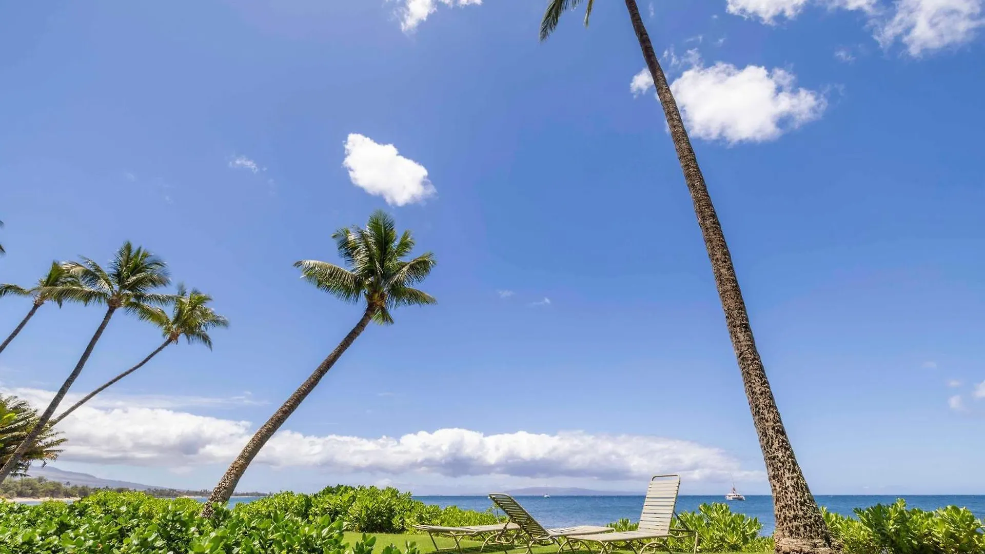 202 * Kihei