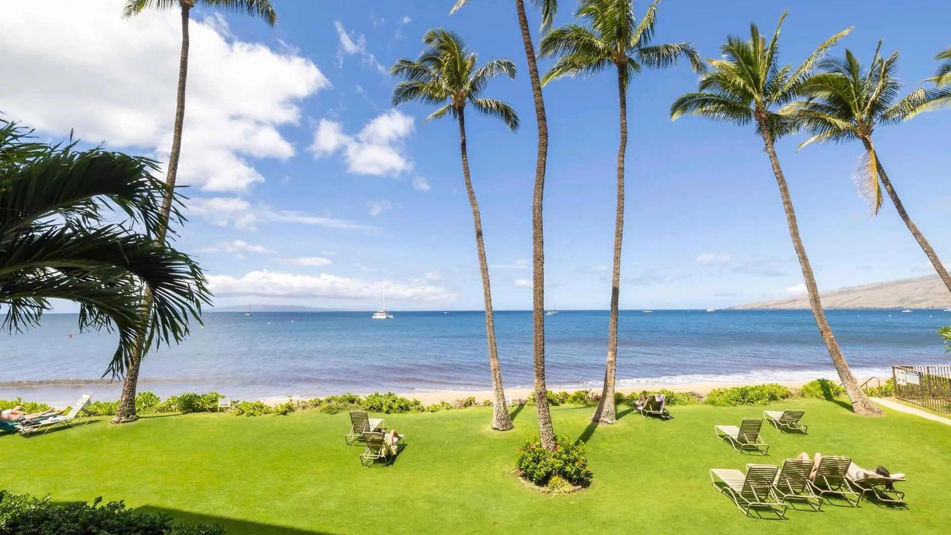 202 Kihei