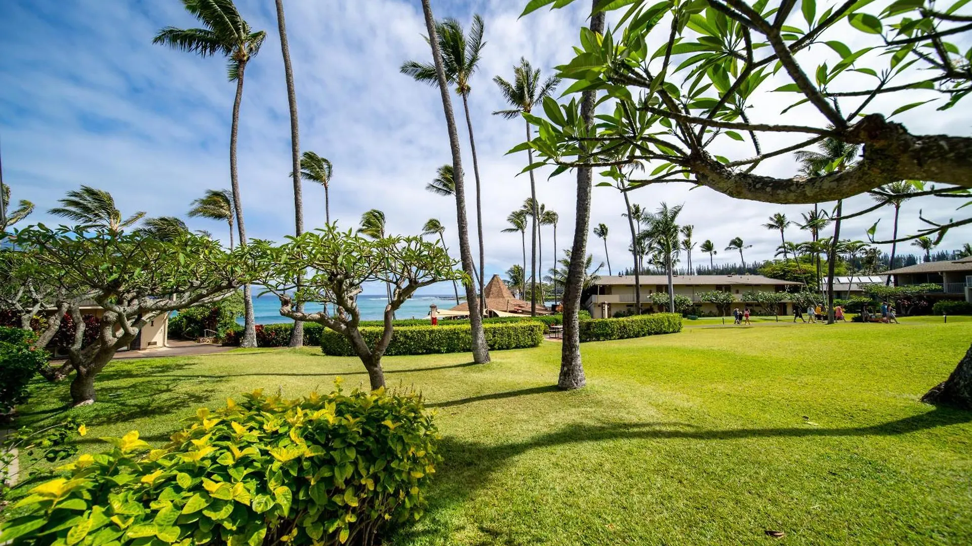 Hotel apartamentowy Napili Shores Maui By Outrigger - No & Housekeeping Fees 4*