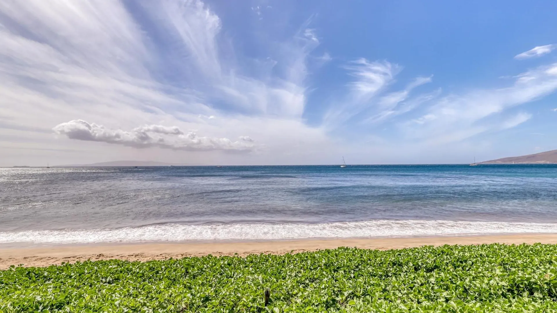 Sugar Διαμέρισμα Kihei