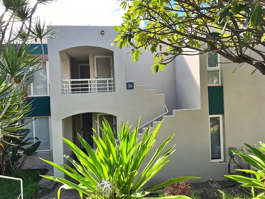 Beautiful Palms At Condo!