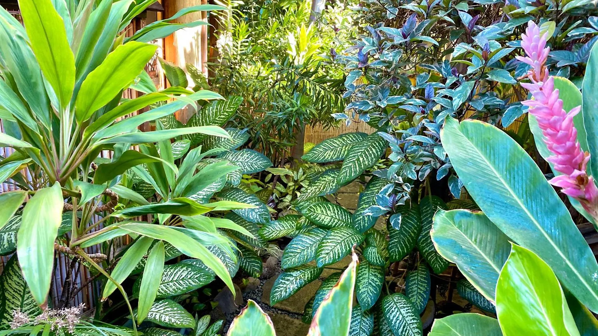 The Kulani Maui ホテル