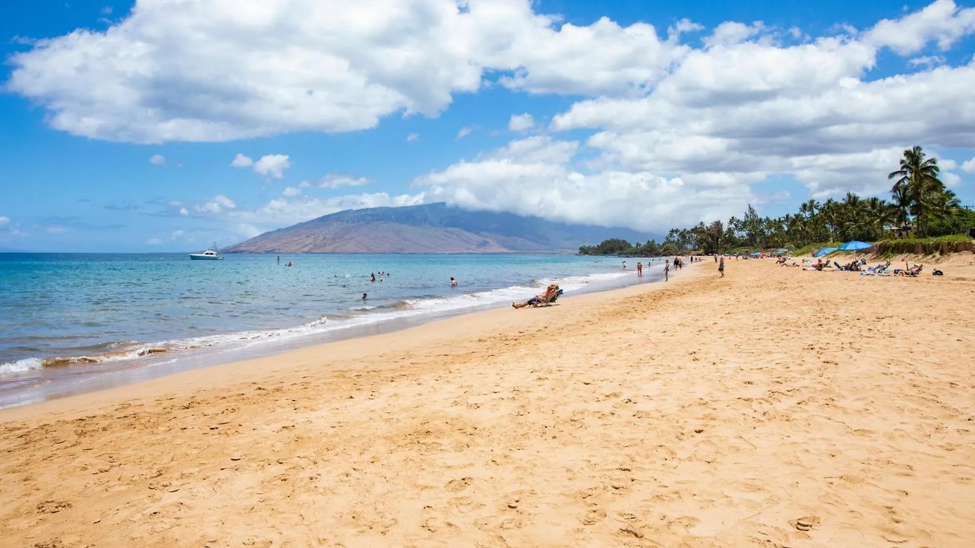 Apartment Charming Loft 2br With Free Parking & Near Beach! Kihei