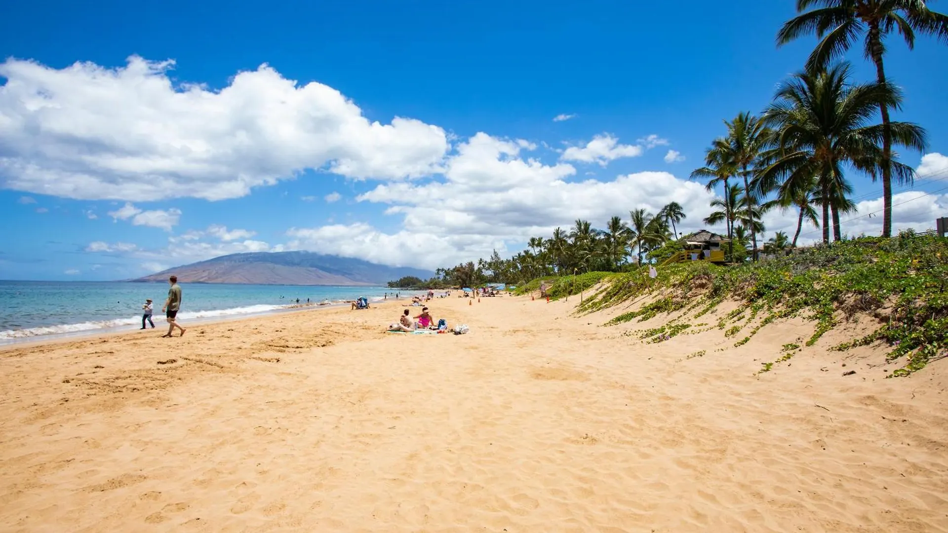 Charming Loft 2br With Free Parking & Near Beach! * Kihei