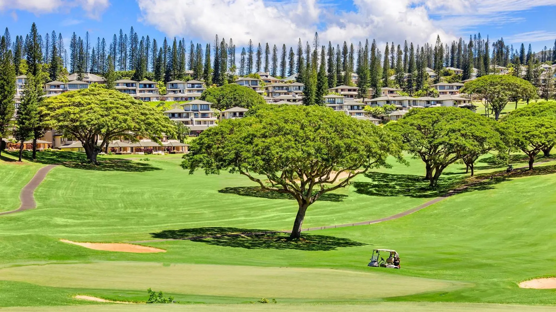 Holiday home Kapalua Golf 20v 1