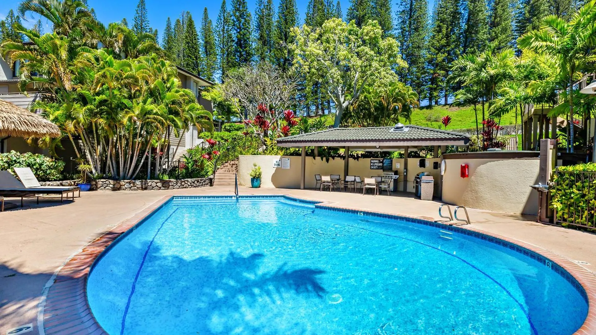 Kapalua Golf 20v 1 Holiday home *