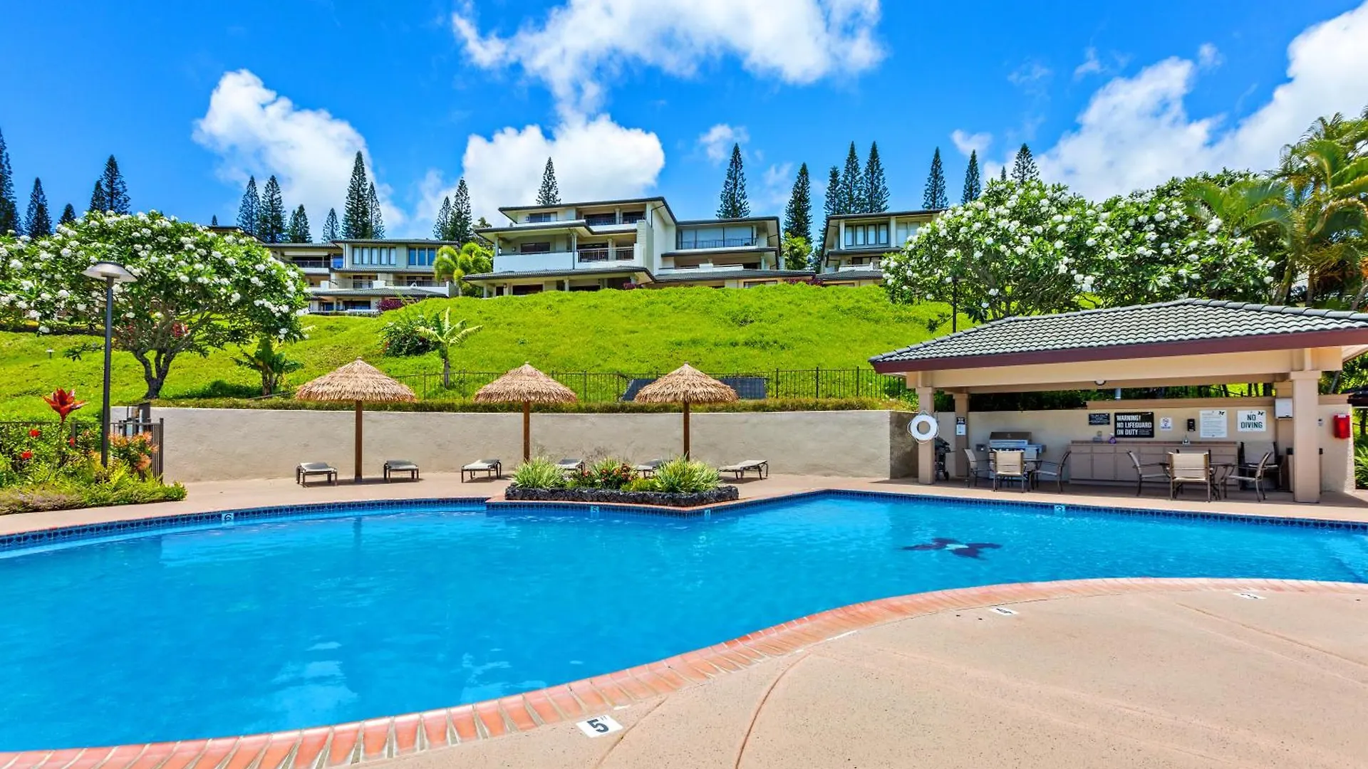 Holiday home Kapalua Golf 20v 1 Kahana