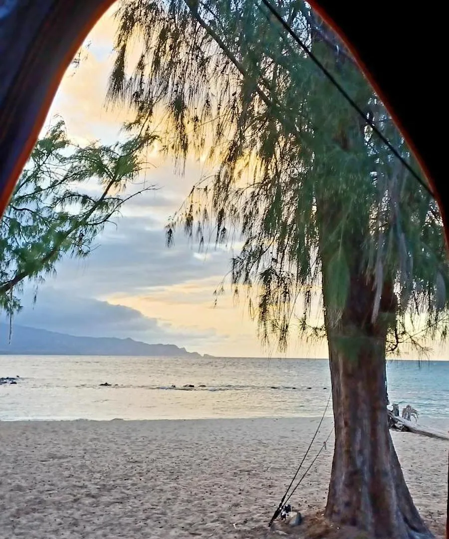 Campcar Maui Jeeps Suvs Hybrid Camper With Equipment And Travel Advice