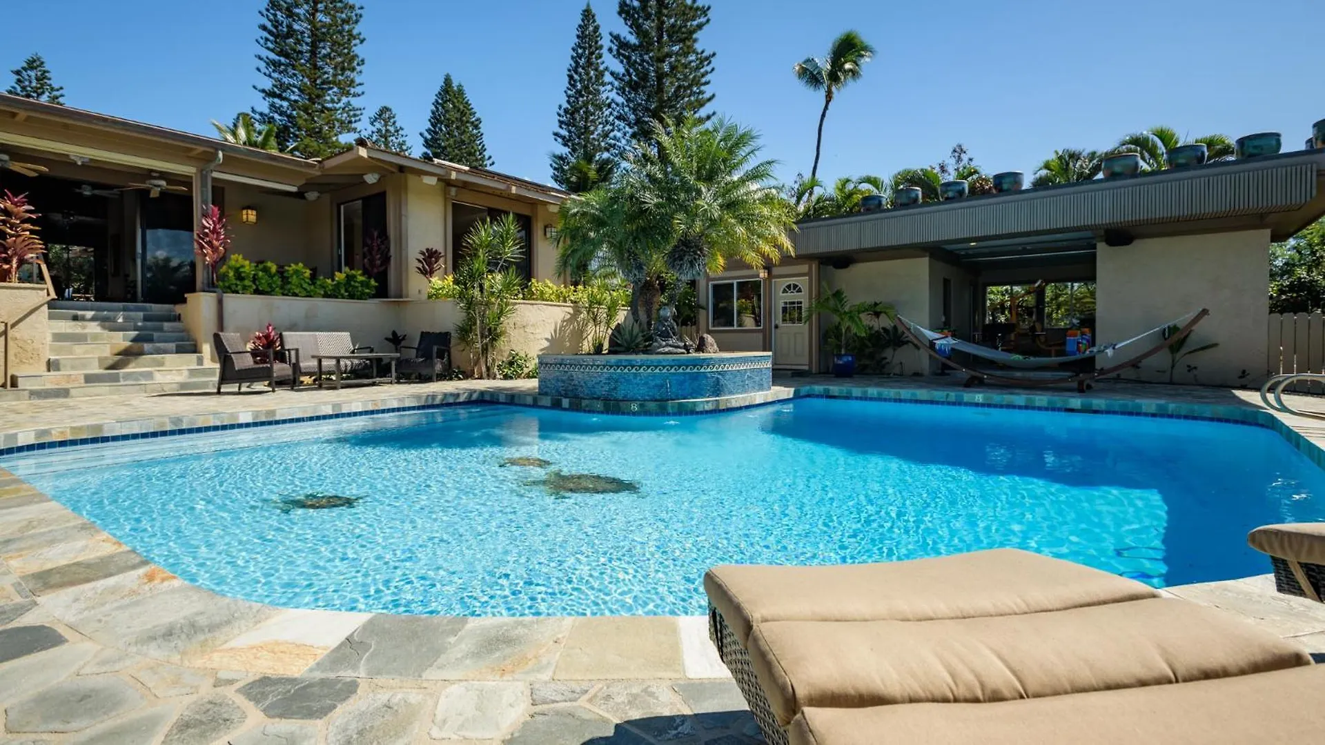 Summit At Kaanapali Vista-5b-5,5b Pool-ocean View Holiday home *